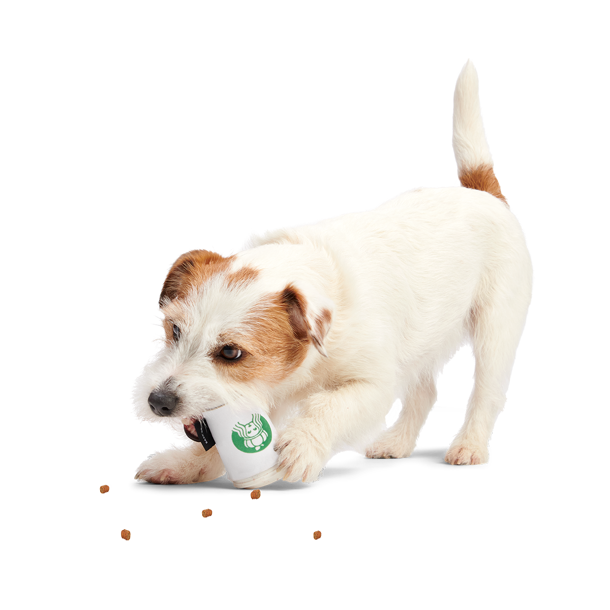 Pupkin Spice Yappuccino Super Chewer Durable 2-in-1 + Enrichment Dog Toy