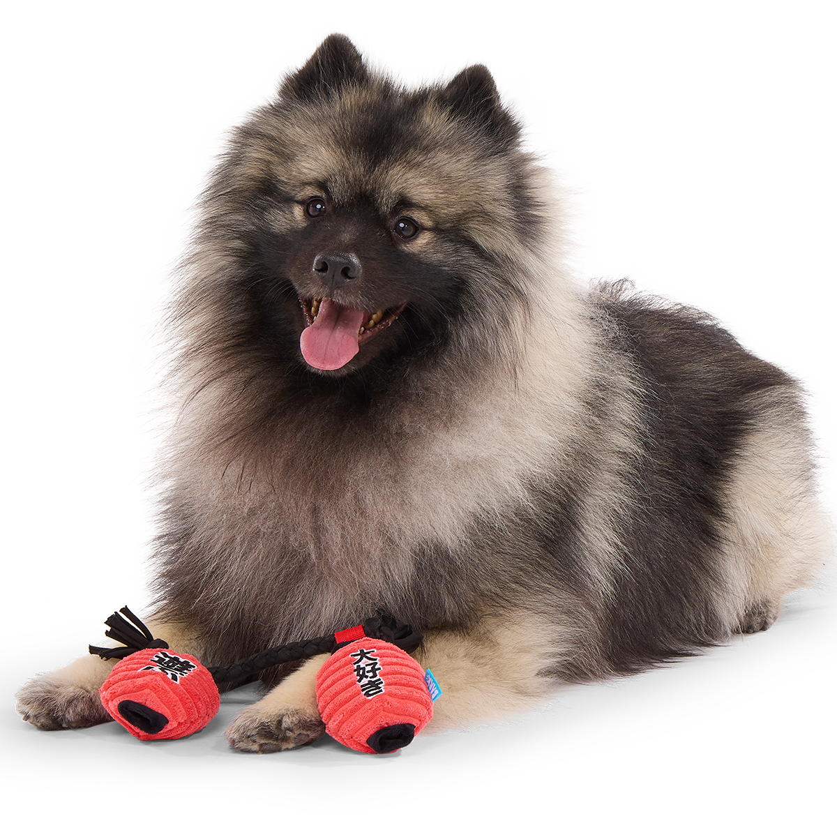 Pupper Lanterns Plush Tug Dog Toy