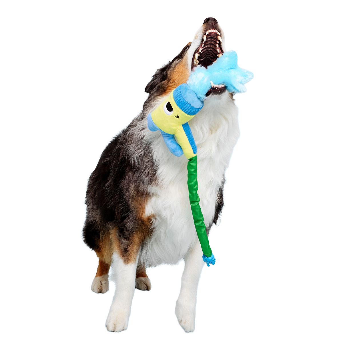 Puttin' on the Spritz Plush Tug Dog Toy