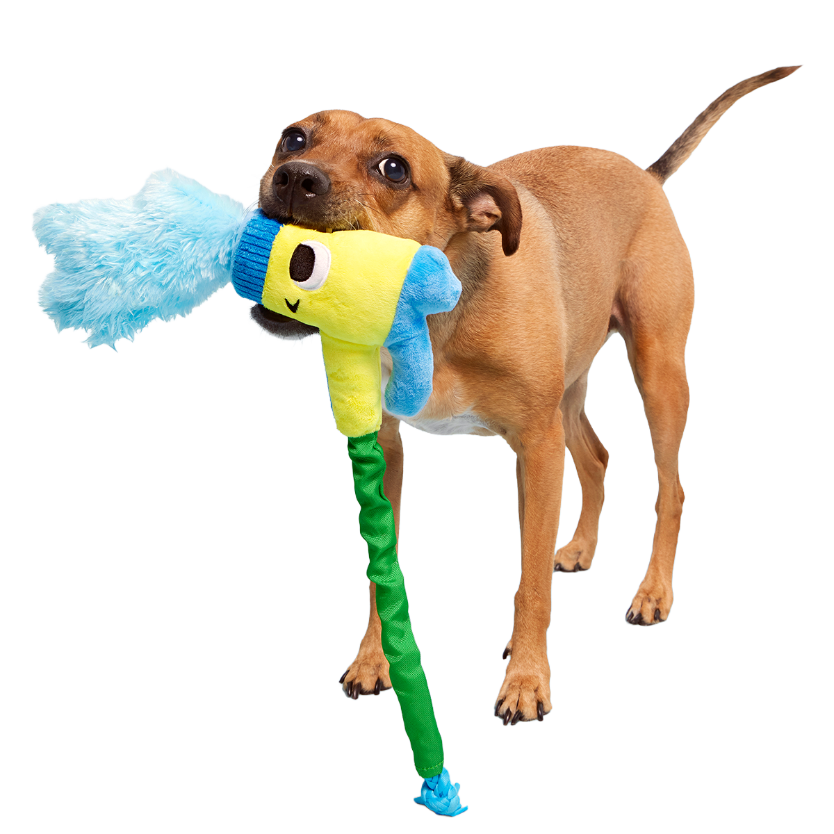 Puttin' on the Spritz Plush Tug Dog Toy