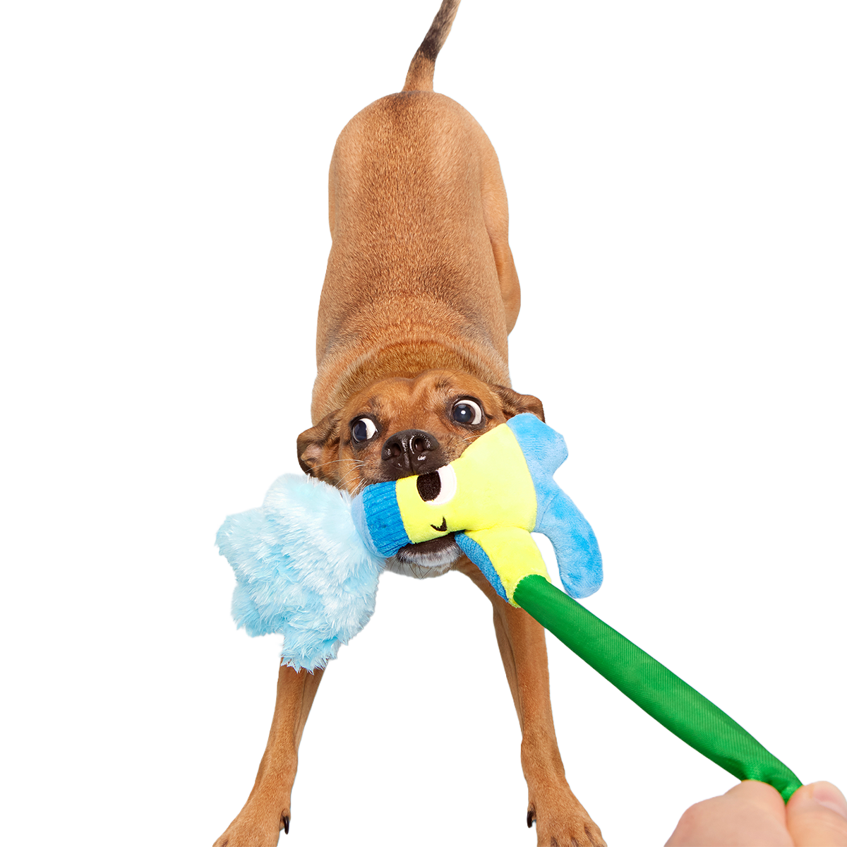 Puttin' on the Spritz Plush Tug Dog Toy