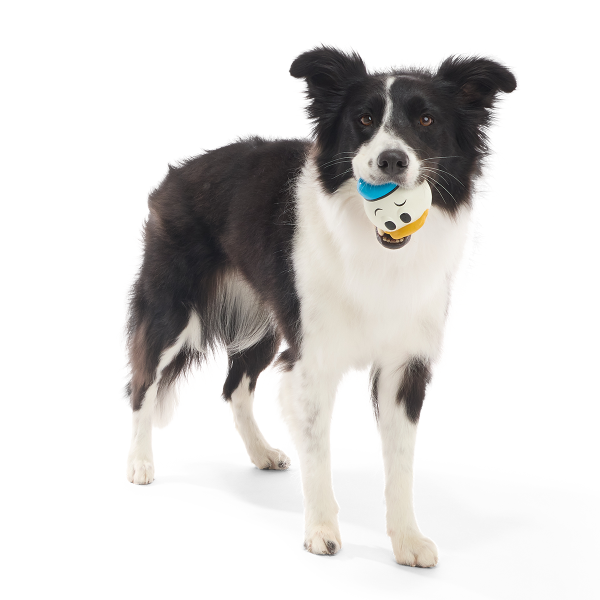 Quack Attack Donald Super Chewer Durable Fetch Dog Toy