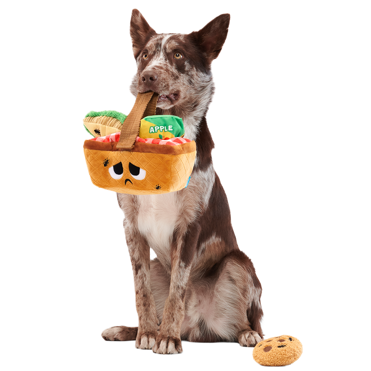 Quick Lick Picnic Plush Tug + Multi-Part + Enrichment Dog Toy