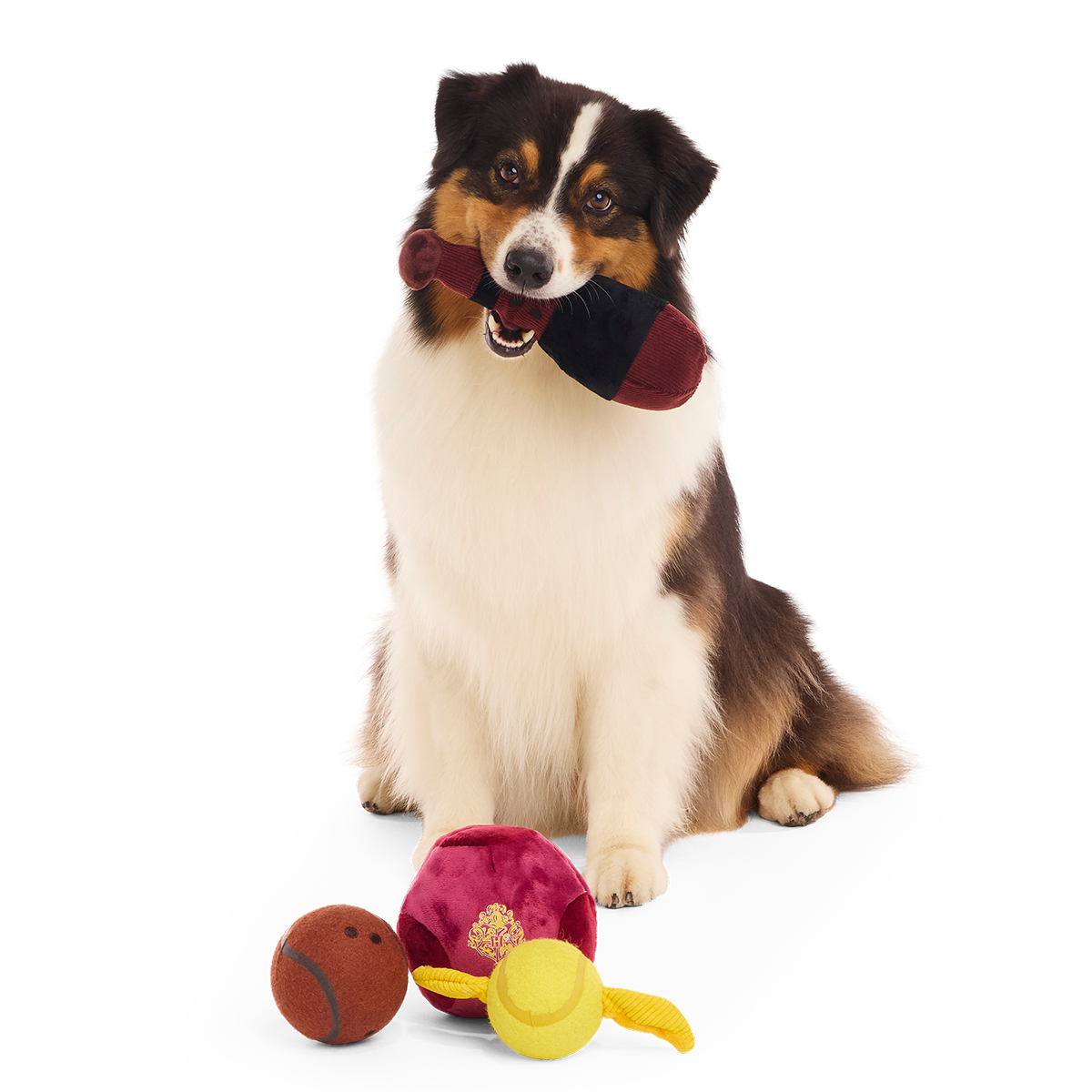 Quidditch™ Equipment Pack Plush Multi-Part + Tennis Ball Fetch Dog Toy