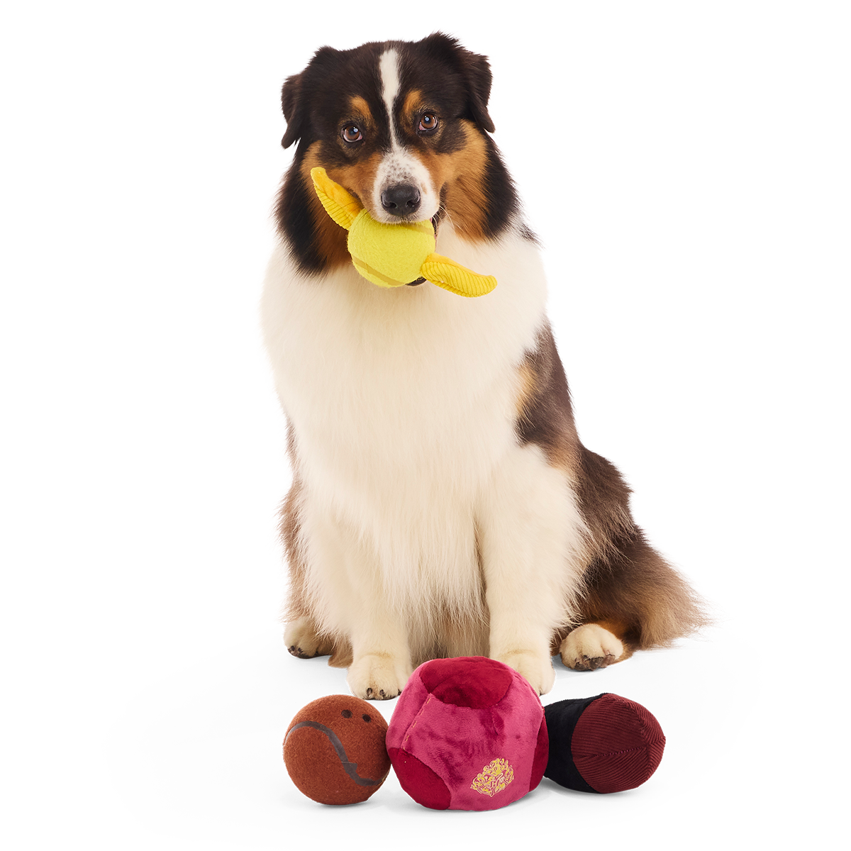Quidditch™ Equipment Pack Plush Multi-Part + Tennis Ball Fetch Dog Toy