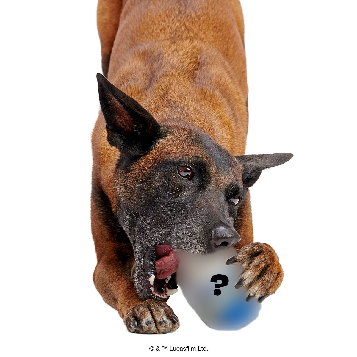 Star Wars™ Droid Smugglers Club, Super Chewer Durable Monthly Dog Toys