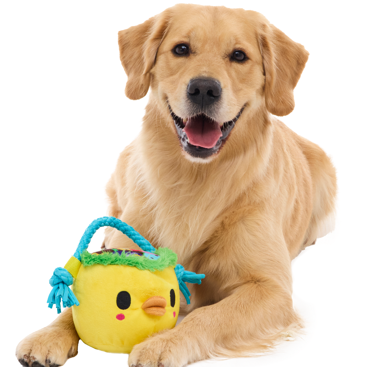 Chicky's Easter Candy Plush Tug Dog Toy