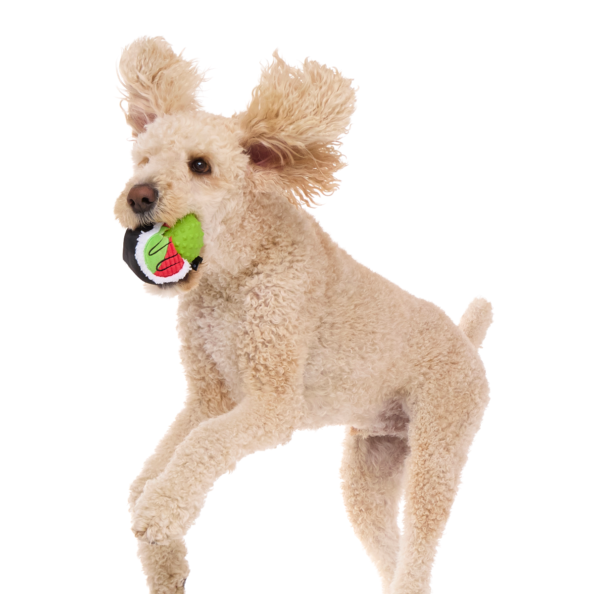 Sushi Roller Super Chewer Durable 2-in-1 + Fetch Dog Toy