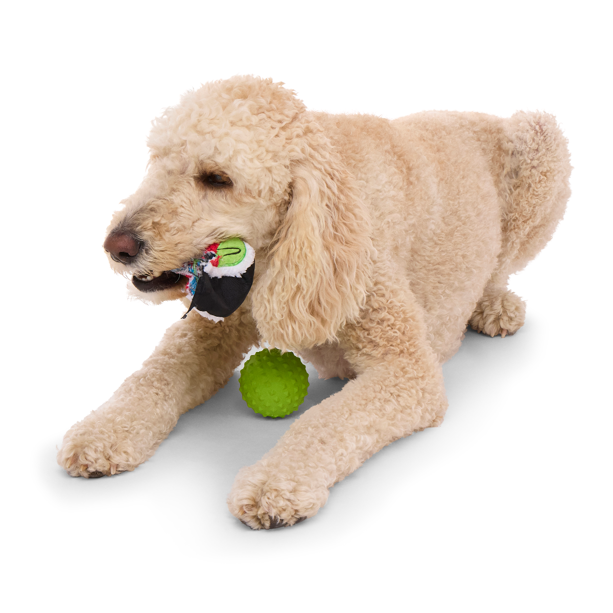 Sushi Roller Super Chewer Durable 2-in-1 + Fetch Dog Toy