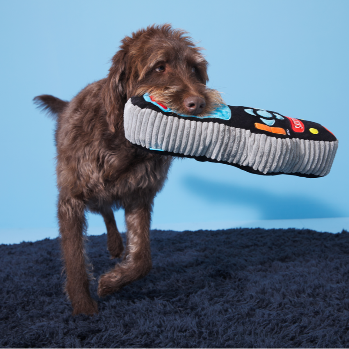Chewniversal Remote
