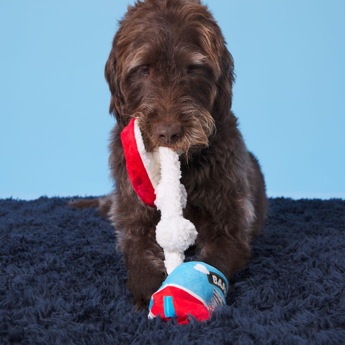 Poopies N' Cream Plush Tug + Enrichment Dog Toy