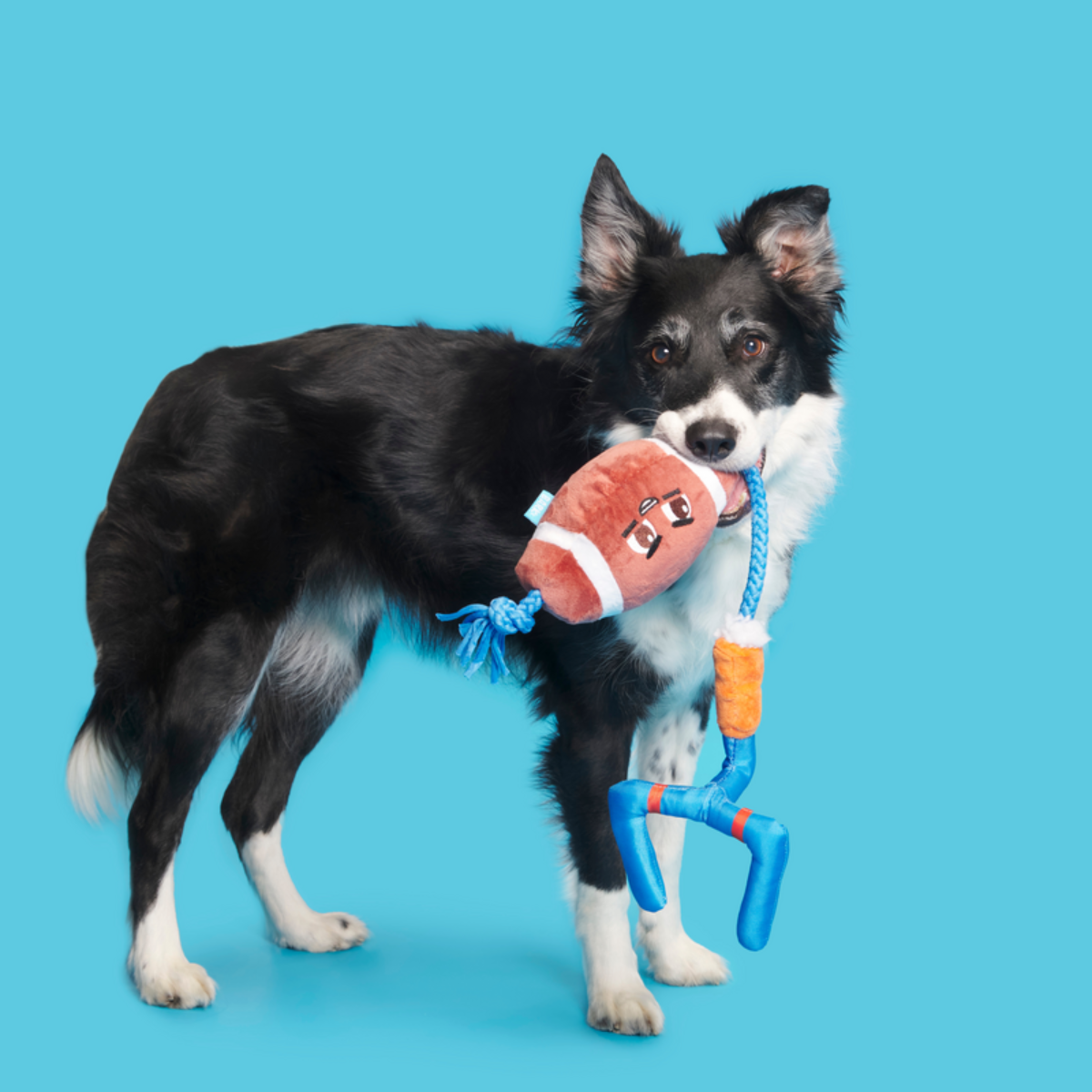 RETAIL_209074_WHOLE-CANINE-YARDS_18237-1200x800-9b9f185#Size_S