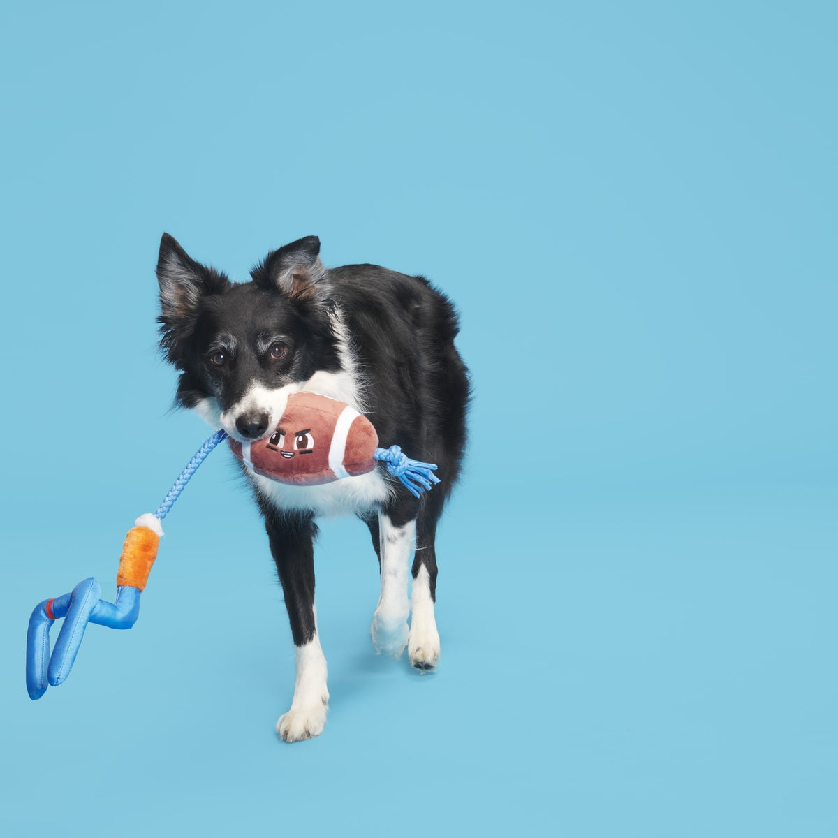 RETAIL_209074_WHOLE-CANINE-YARDS_18243_cropped#Size_M/L