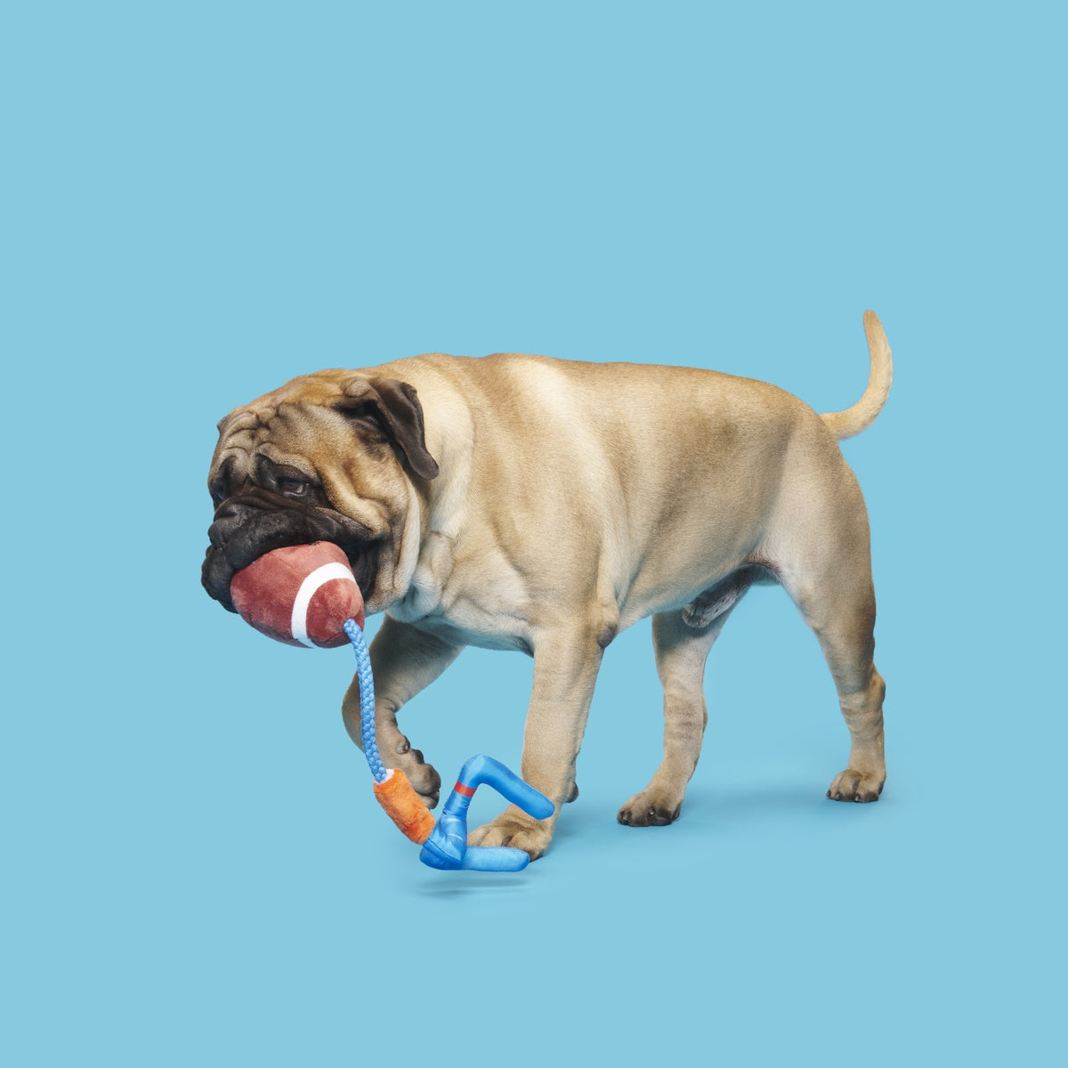 RETAIL_209074_WHOLE-CANINE-YARDS_18327_cropped#Size_M/L