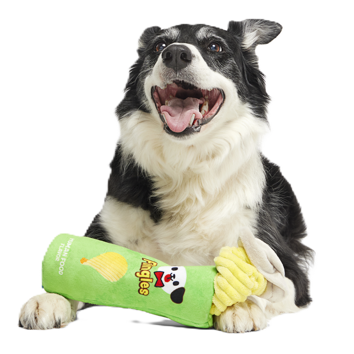 Flingles Can Plush Tug Dog Toy