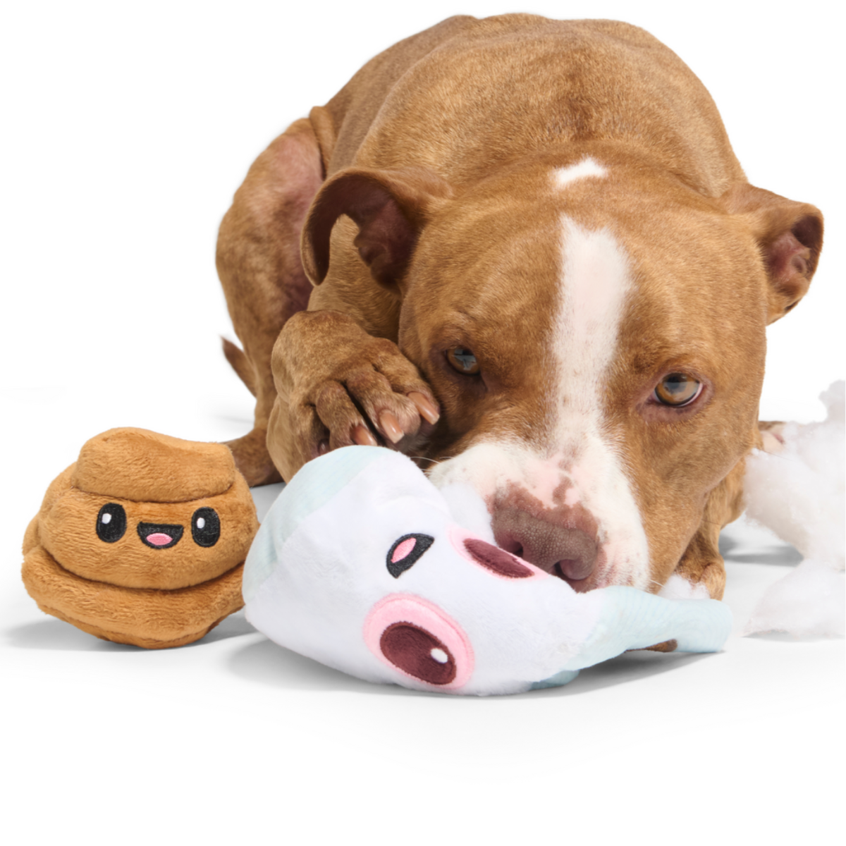Pottymouth Pete Plush 2-in-1 Rip and Reveal Dog Toy
