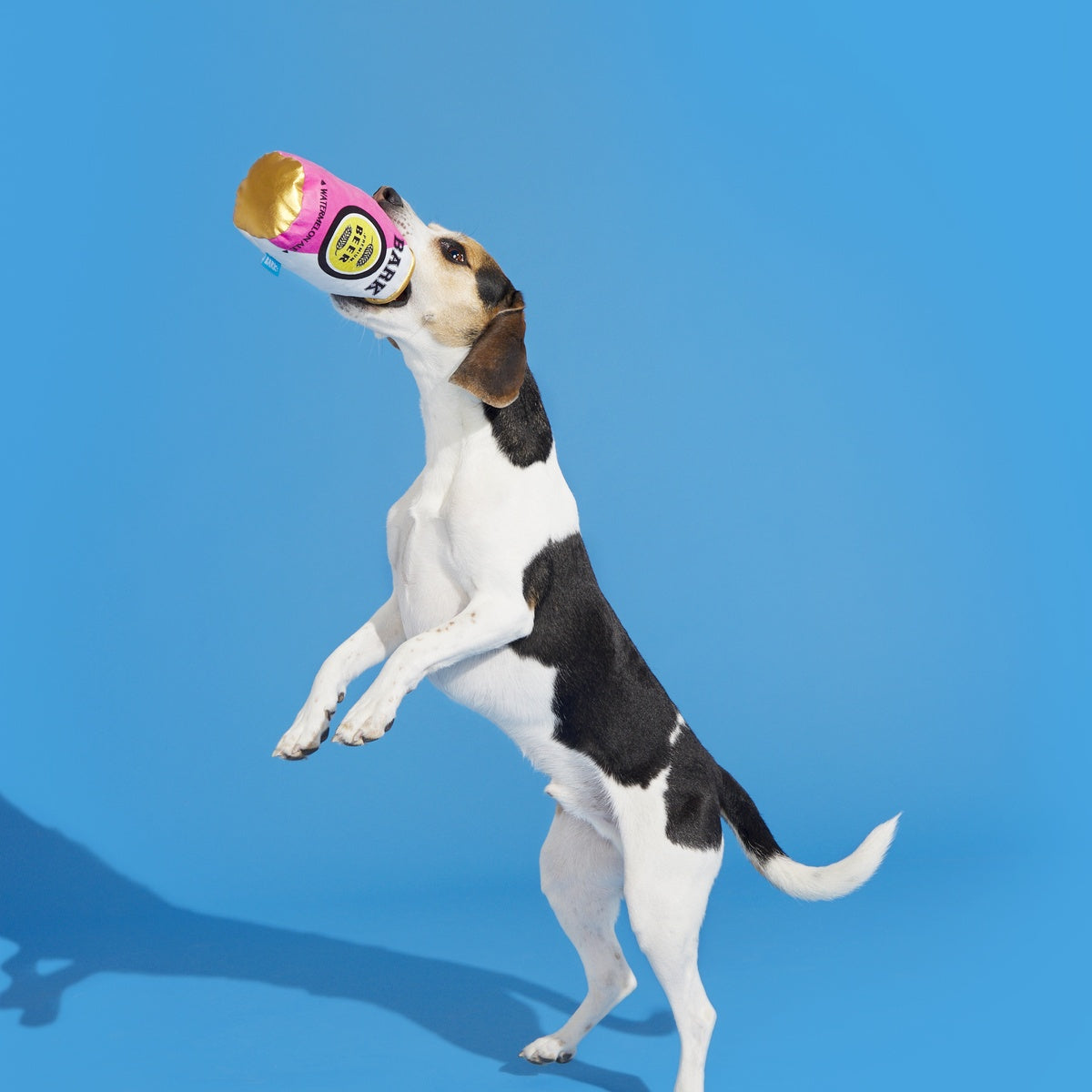 BARK-B-Q: Watermelon Ale Plush Dog Toy