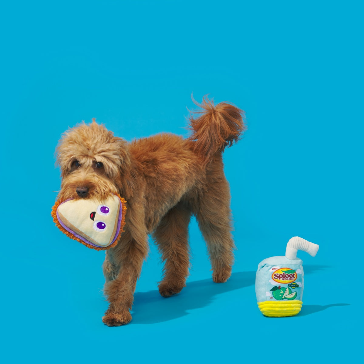 Sammy & The Juice Plush Multi-Part Dog Toy
