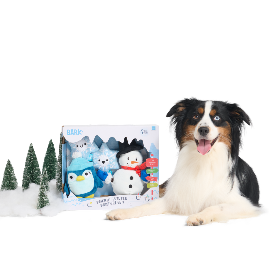 Wagical Winter Wonderland Bundle