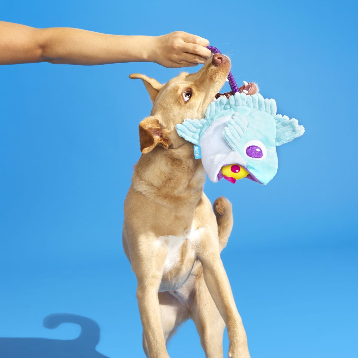 Bottom Feeders Plush Tug Dog Toy