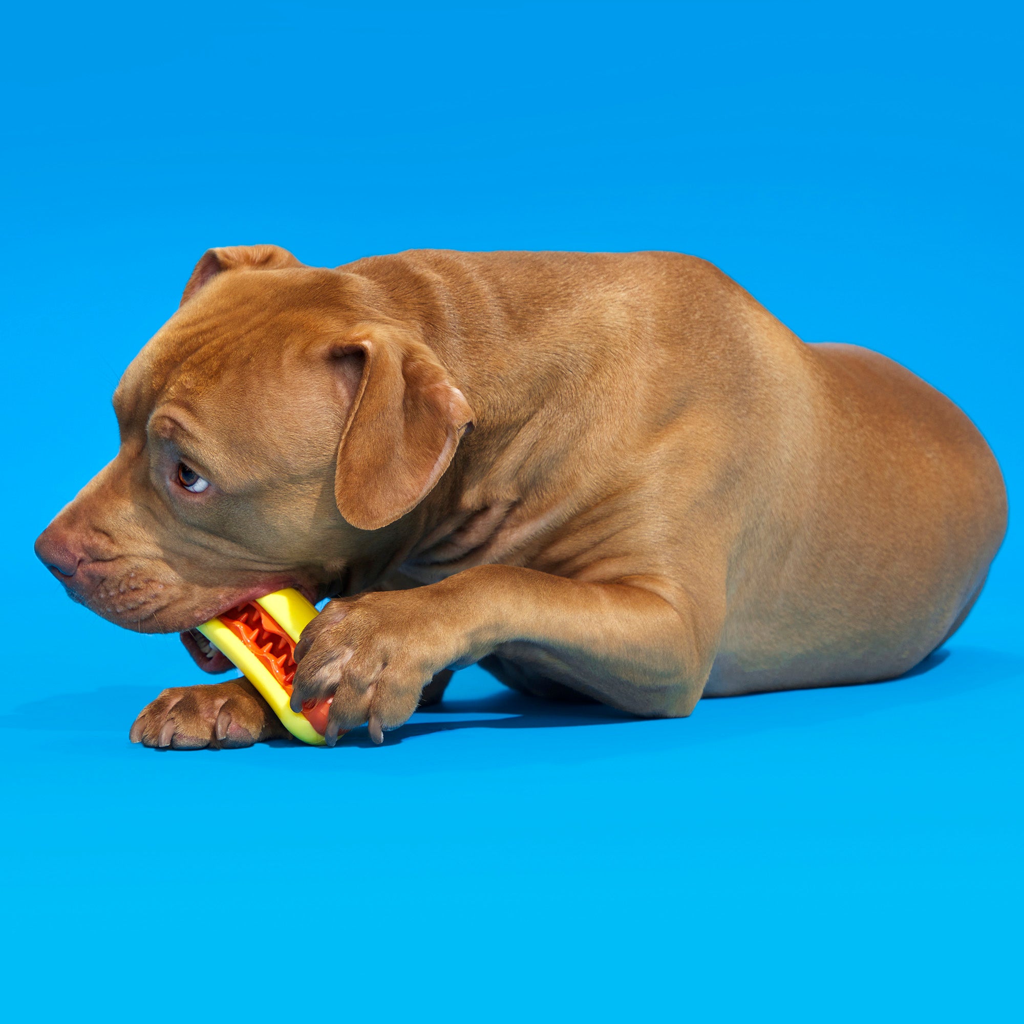 BARK Titan - Treat Dispensing Dog Toy