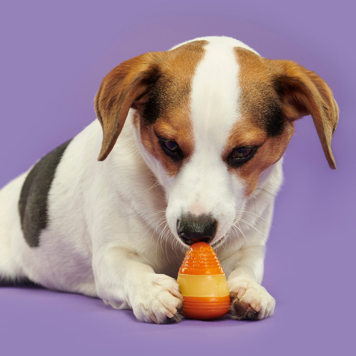 Canine Corn Super Chewer Durable Gnaw + Enrichment Dog Toy