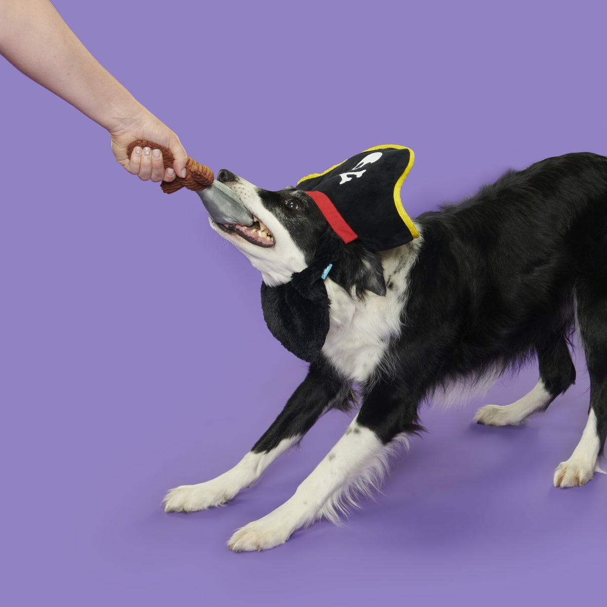 Bark Beard Plush Multi-Part + Wearable Dog Toy