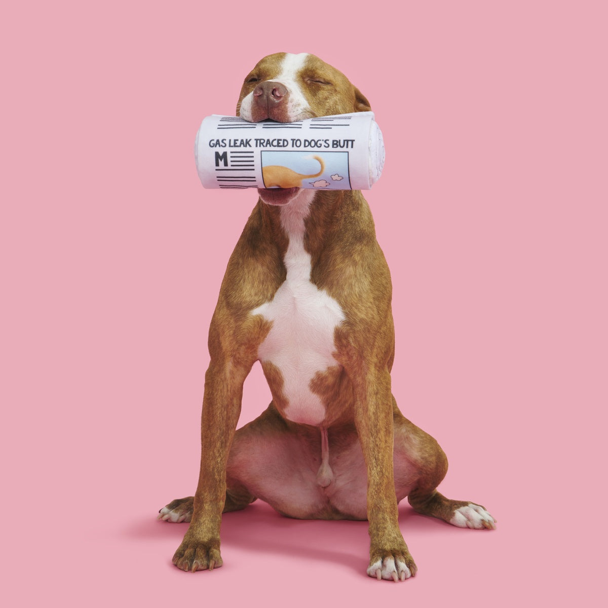 The Chew York Times Plush Tug + Enrichment Dog Toy