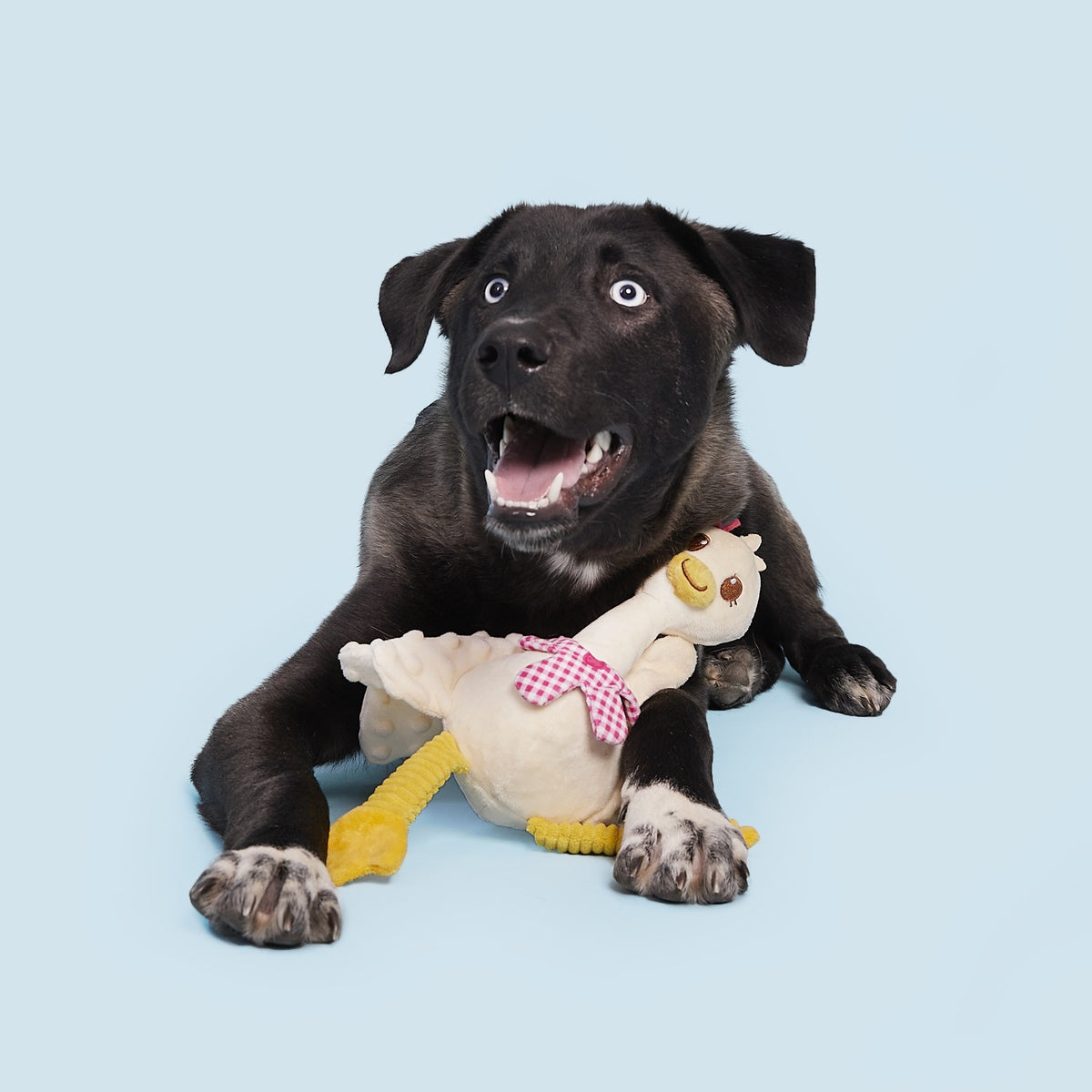 Farmer's Barket Gingham Goose Plush Tug + Extra-Large Dog Toy