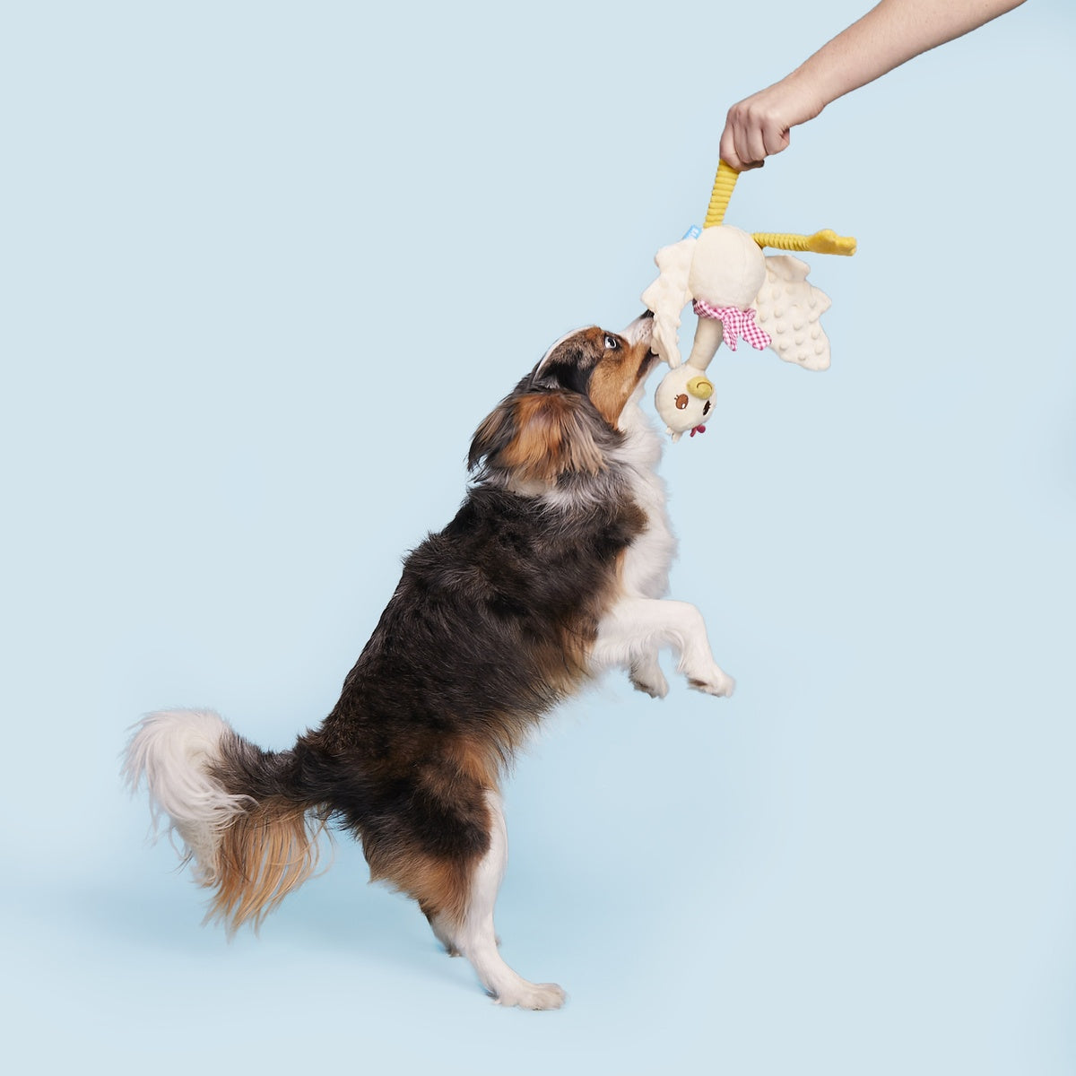 Farmer's Barket Gingham Goose Plush Tug + Extra-Large Dog Toy