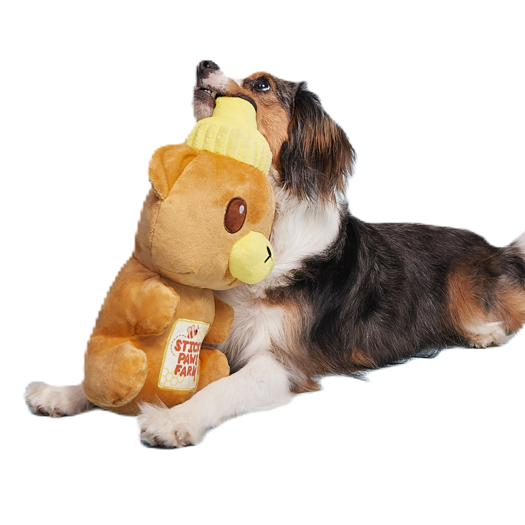 Sticky Paws Honey Bear Plush Extra-Large Dog Toy – BARK
