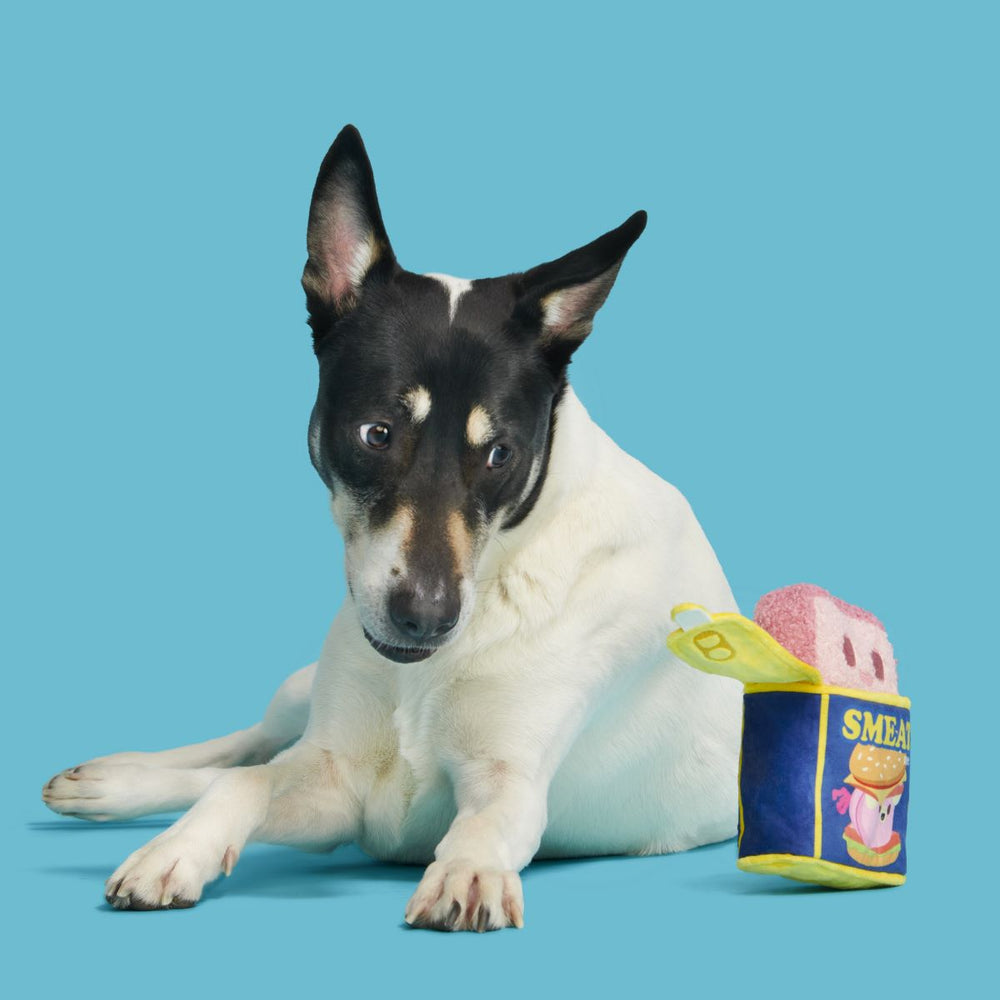 Canned Smeat Plush Multi-Part + Enrichment Dog Toy – BARK
