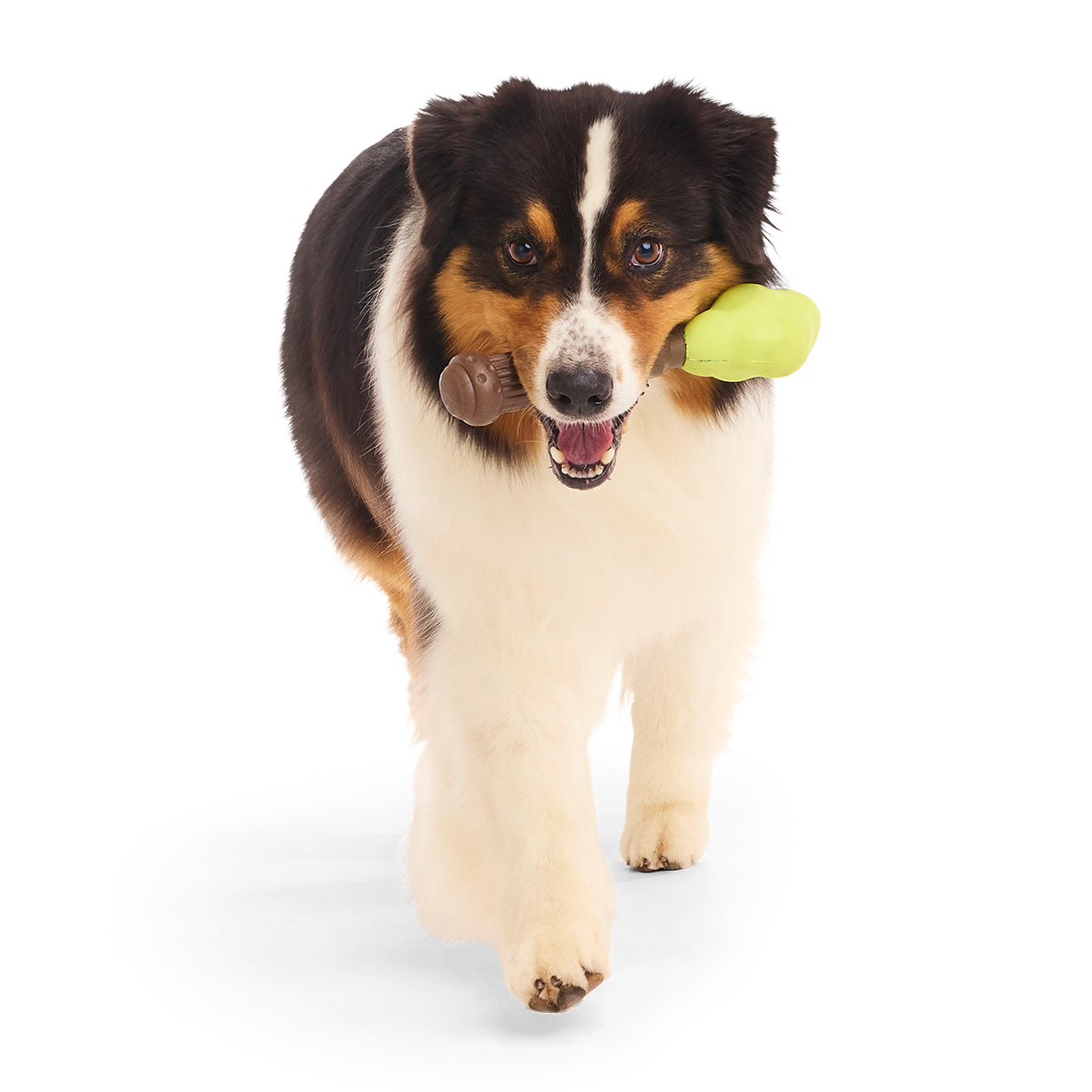 Harry's Bogey™ Wand Super Chewer Durable Gnaw Dog Toy
