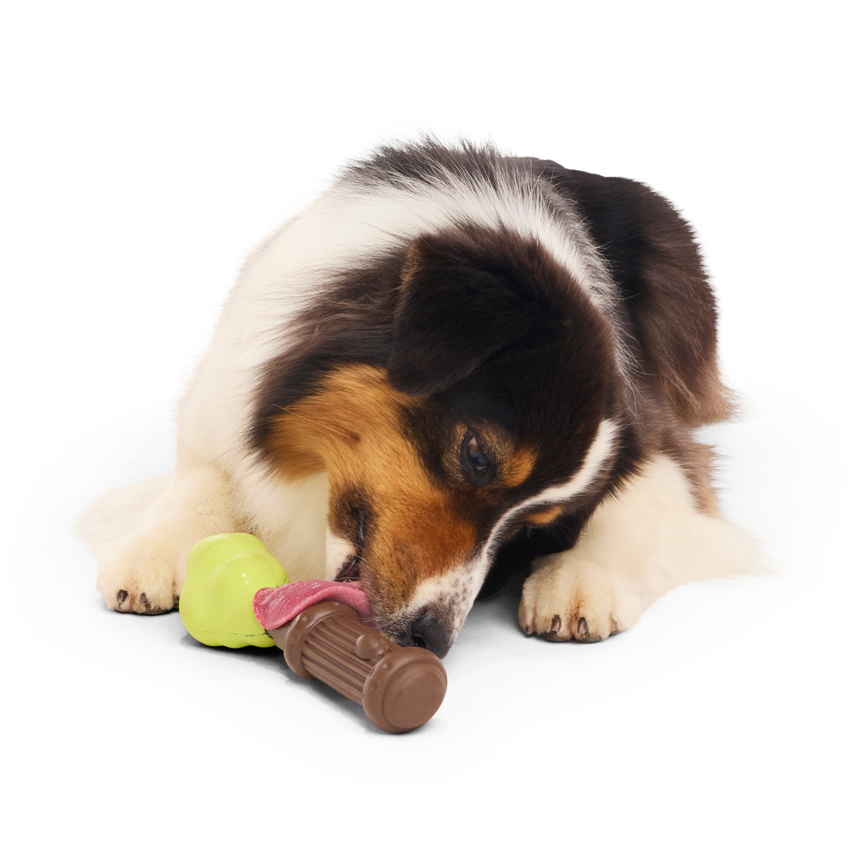 Harry's Bogey™ Wand Super Chewer Durable Gnaw Dog Toy