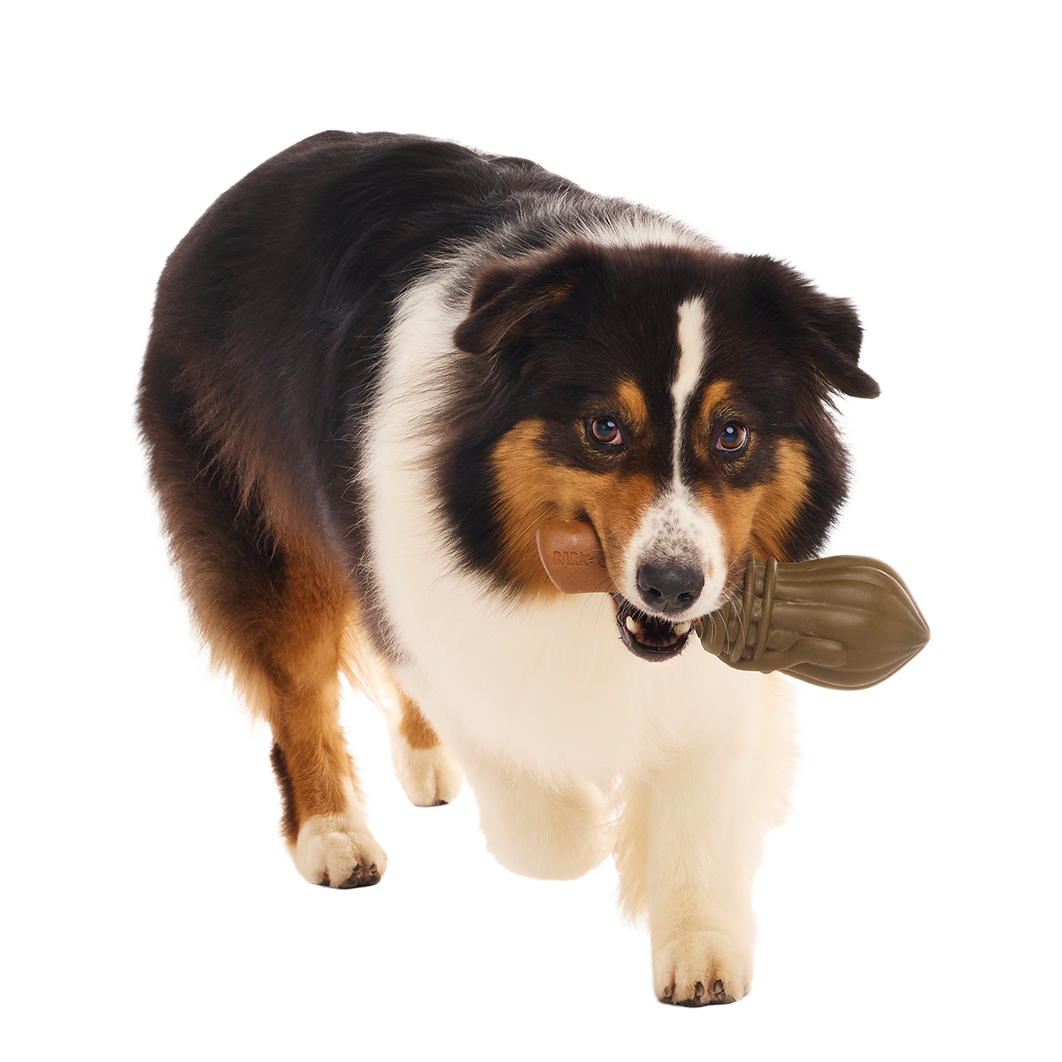 Nimbus 2000™ Super Chewer Durable Tug + Gnaw Dog Toy