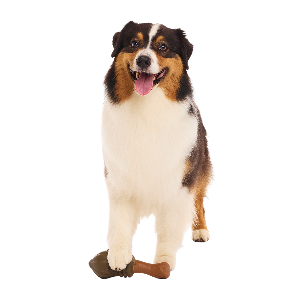 Nimbus 2000™ Super Chewer Durable Tug + Gnaw Dog Toy