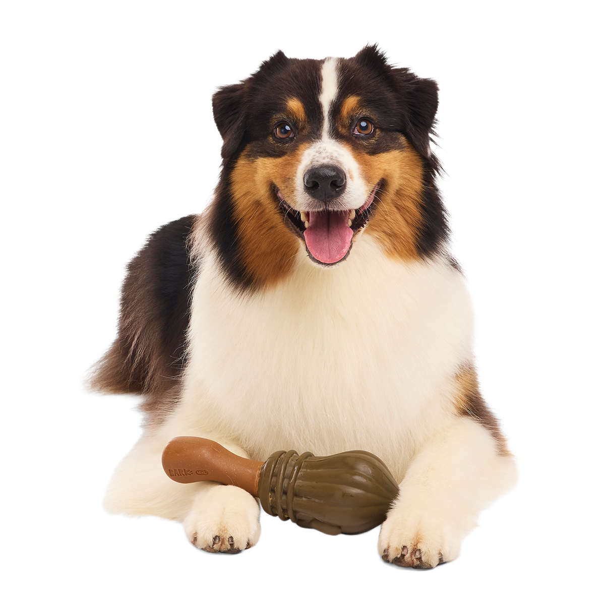 Nimbus 2000™ Super Chewer Durable Tug + Gnaw Dog Toy