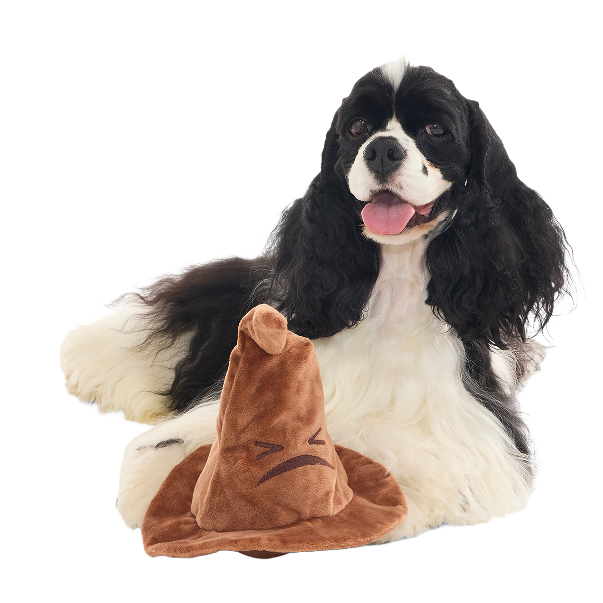 The Sorting Hat™ Plush 2-in-1 + Fetch Dog Toy