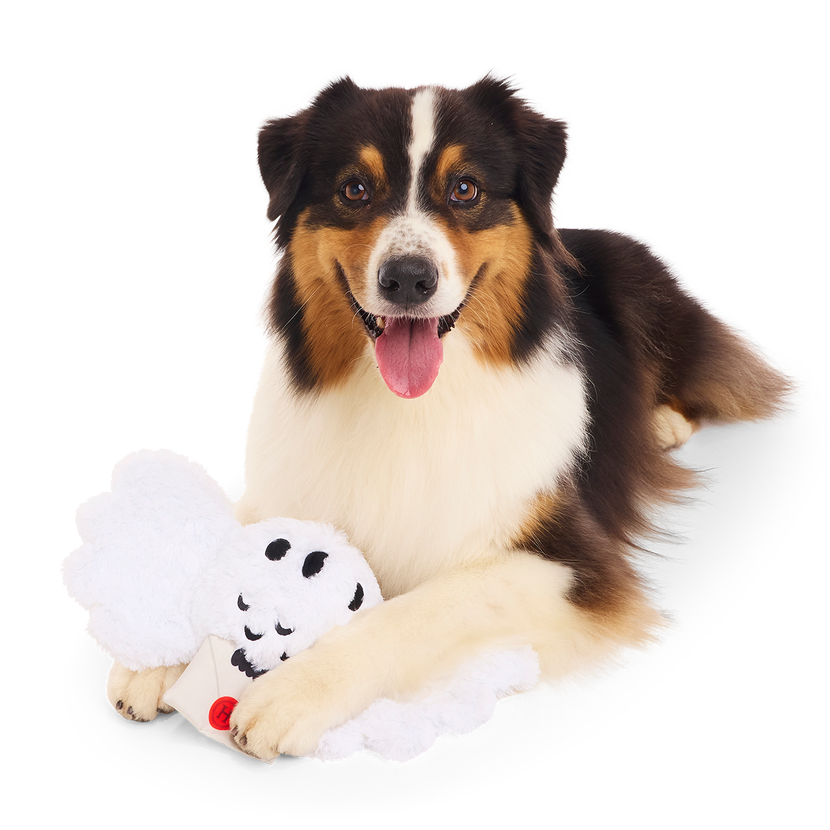Hedwig™ Plush Tug Dog Toy
