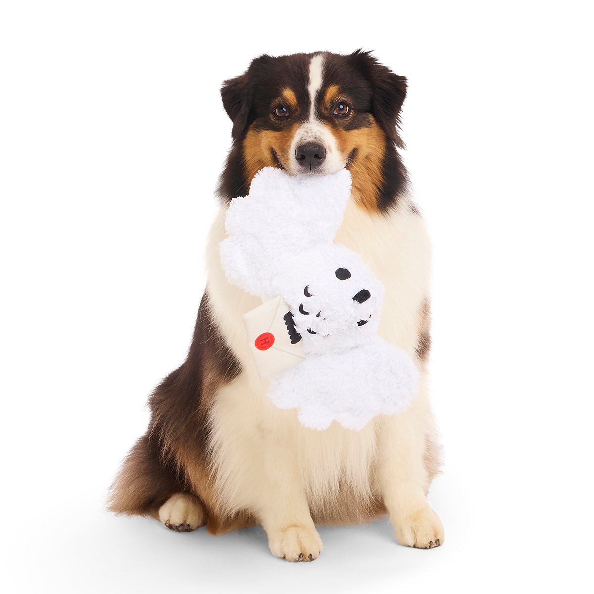 Hedwig™ Plush Tug Dog Toy