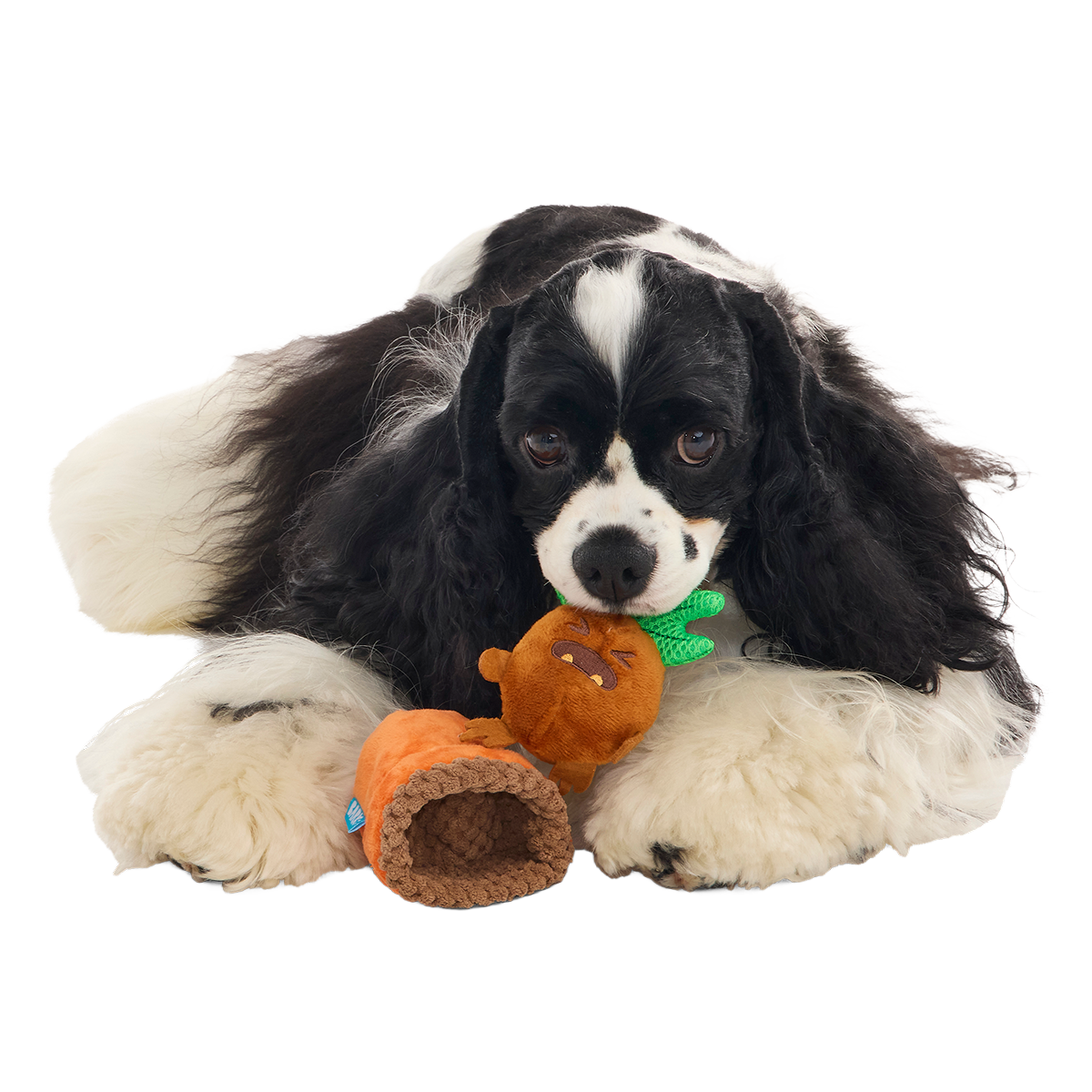 Mandrake™ Plush Tug + Multi-Part Dog Toy