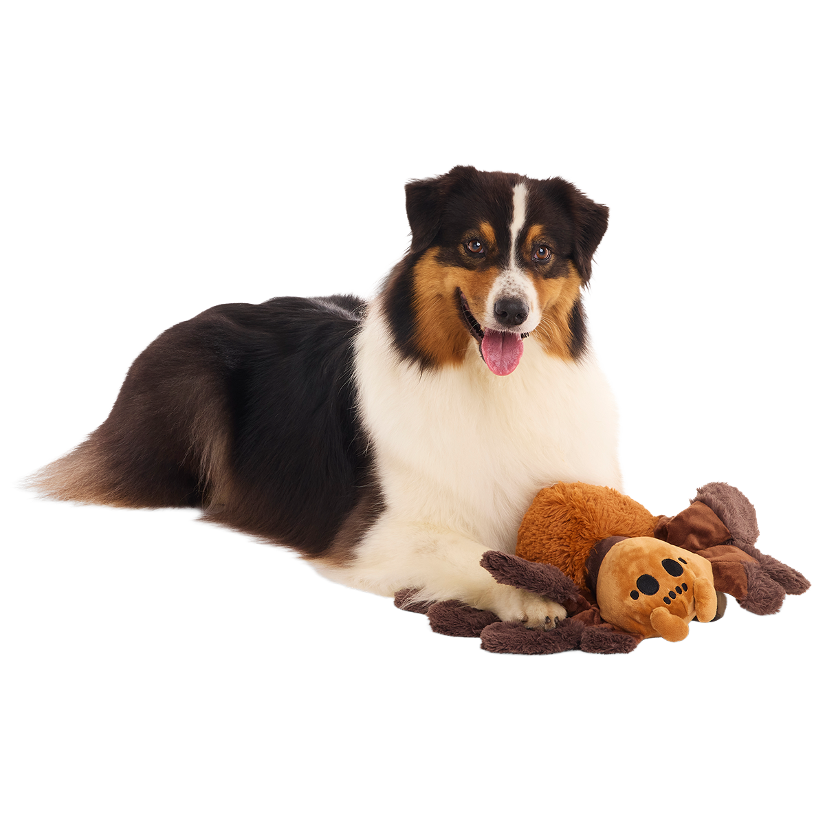 Aragog™ Plush Extra-Large + Tug Dog Toy
