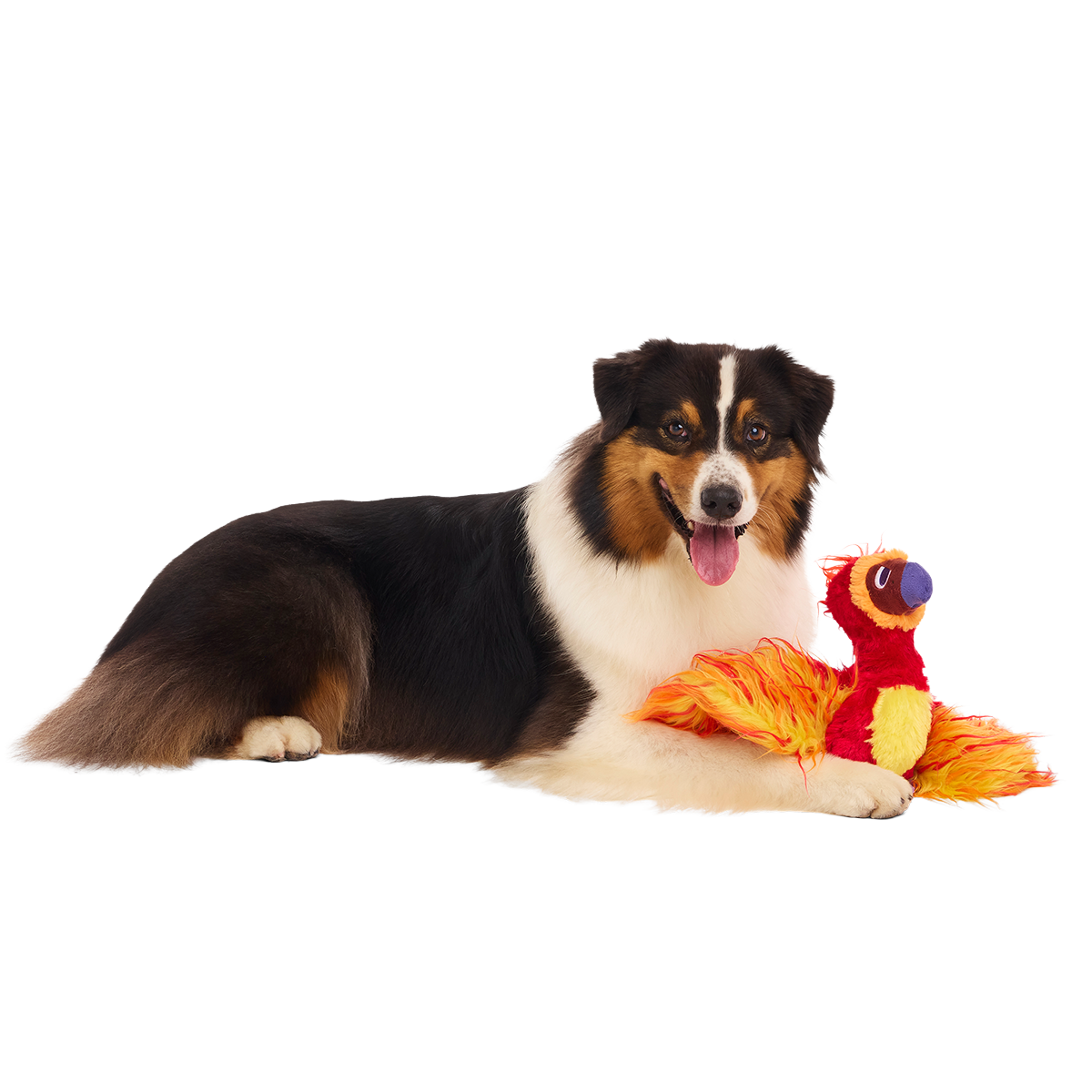 Fawkes™ Plush Tug Dog Toy