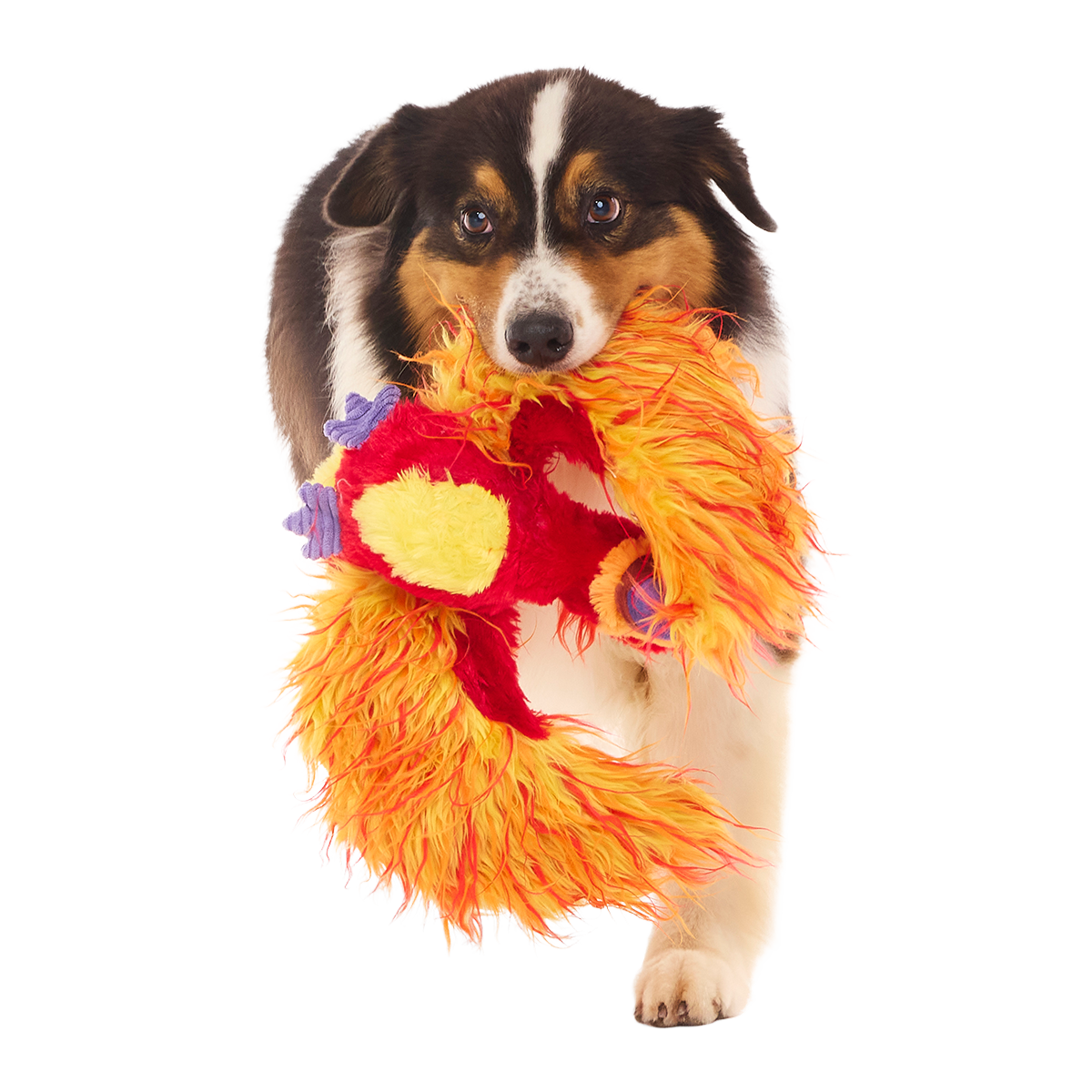Fawkes™ Plush Tug Dog Toy