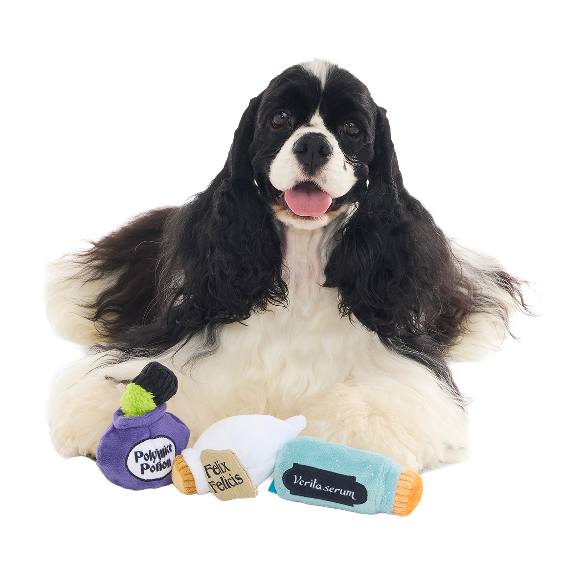 Potions Class Pack™ Plush Multi-Part Dog Toy