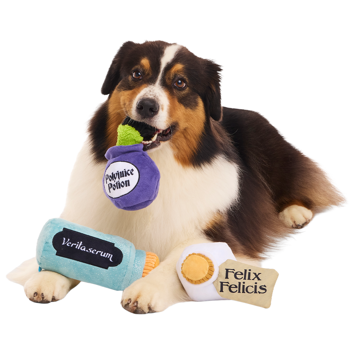 Potions Class Pack™ Plush Multi-Part Dog Toy
