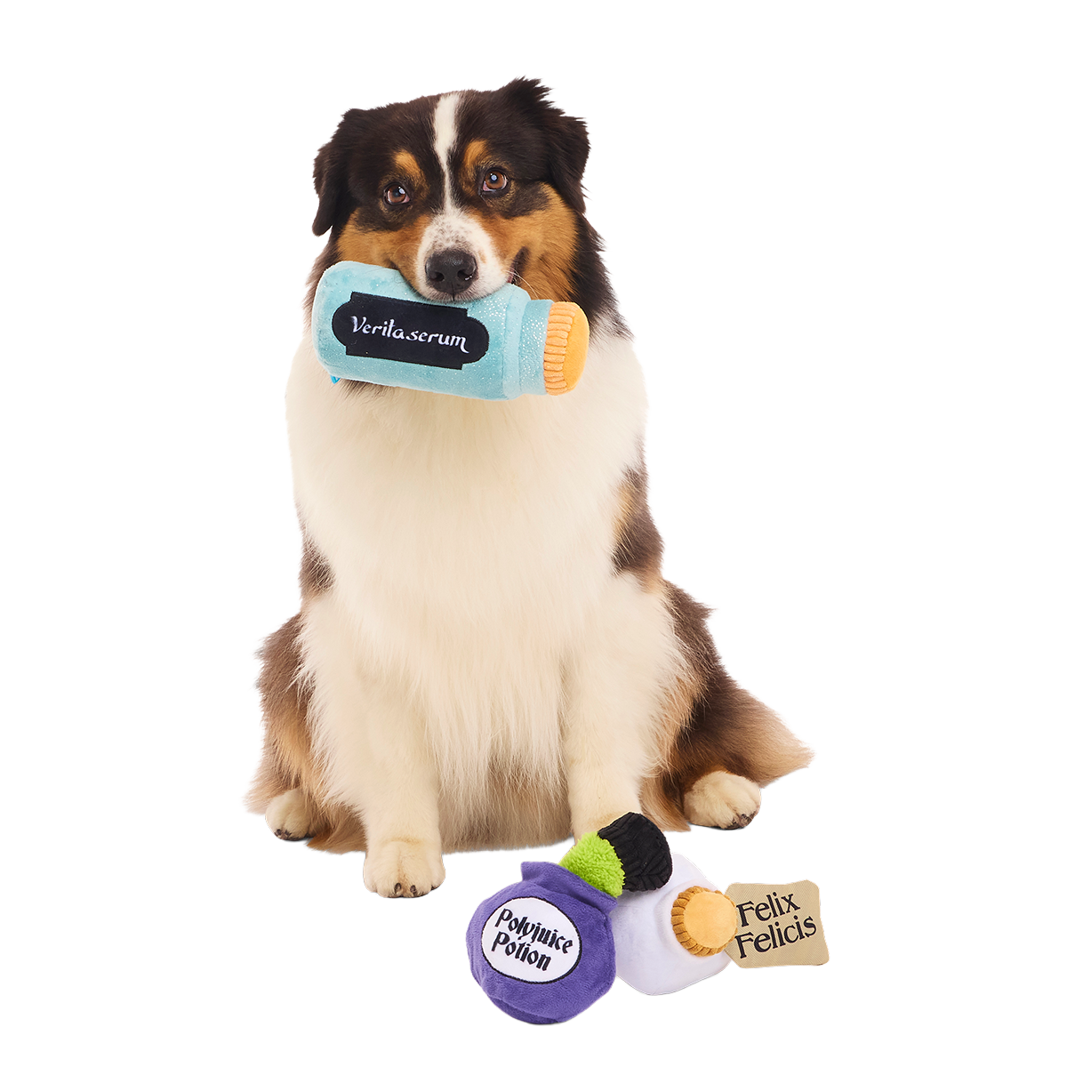 Potions Class Pack™ Plush Multi-Part Dog Toy