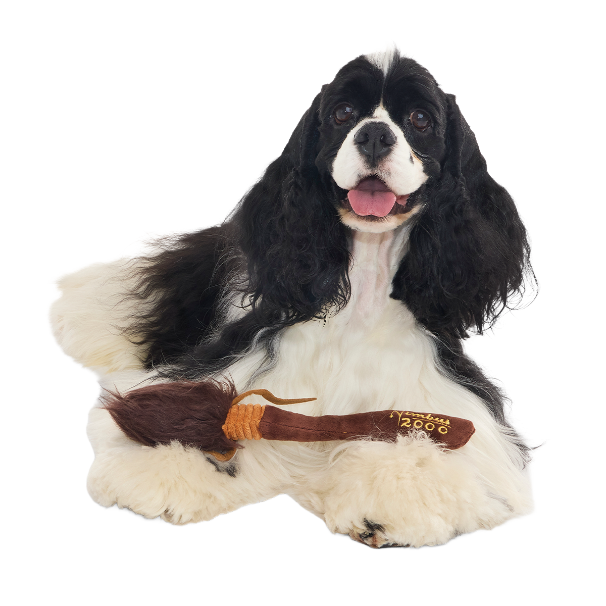 Nimbus 2000™ Broomstick Plush Tug Dog Toy