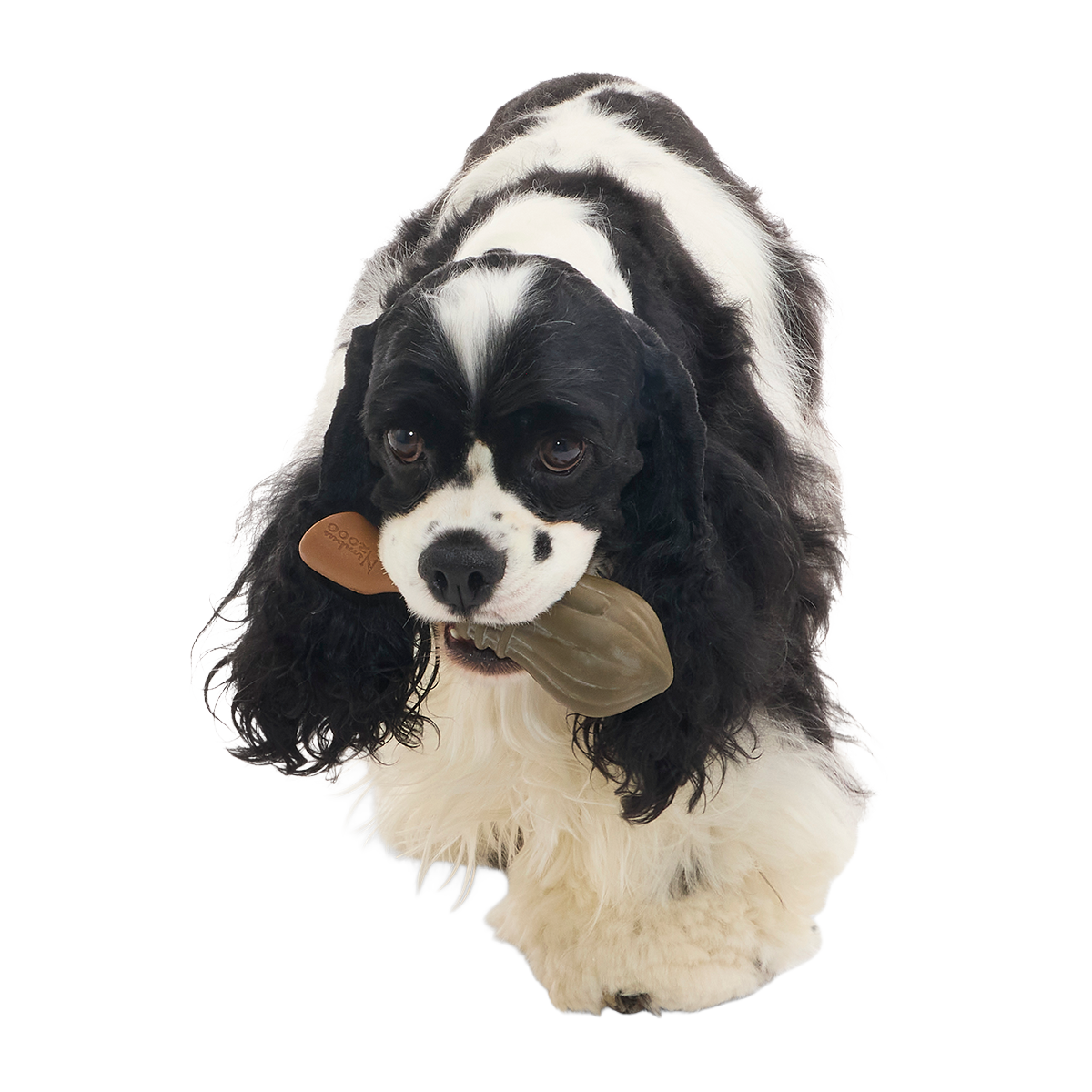 Nimbus 2000™ Super Chewer Durable Tug + Gnaw Dog Toy