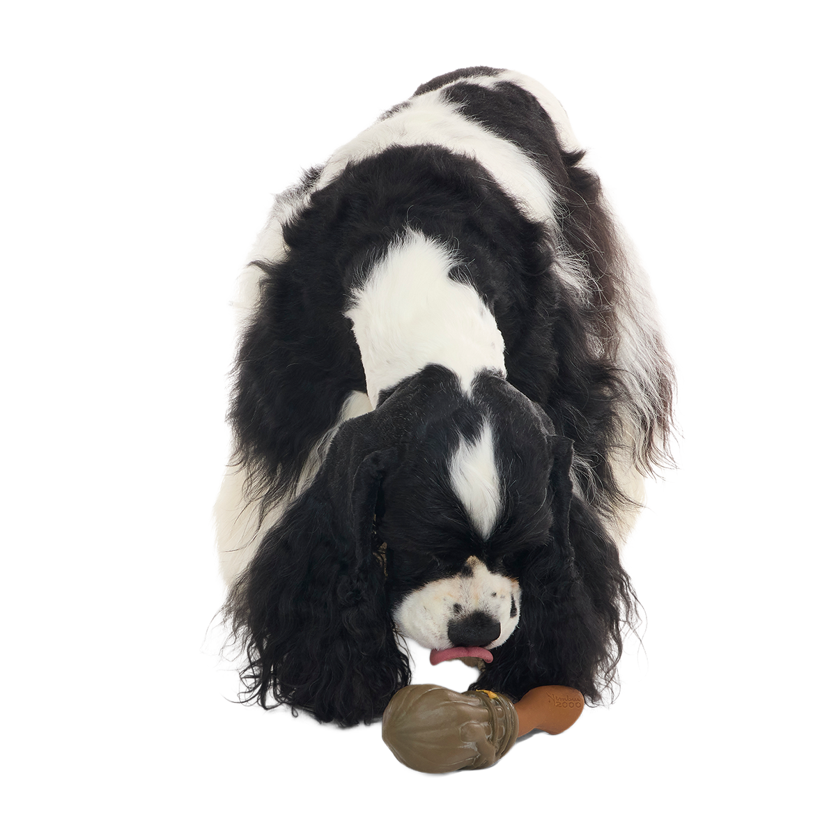 Nimbus 2000™ Super Chewer Durable Tug + Gnaw Dog Toy
